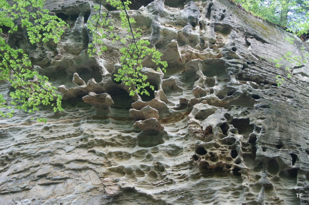 Honeycomb Rock in Indiana