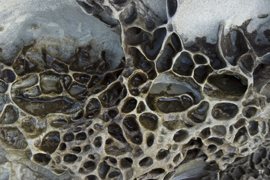 Honeycomb weathering; Clayton Beach