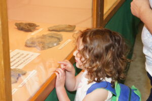 a display case at the club's show viewed by a child.