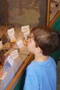 a display case at the club's show viewed by a child